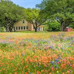 Private Retreat on 50 Acres of Countryside Bliss!