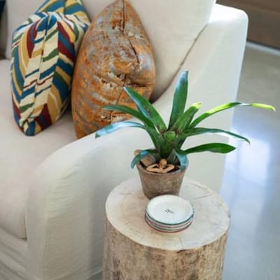 NEW urban cottage, The Vine & Round Top!