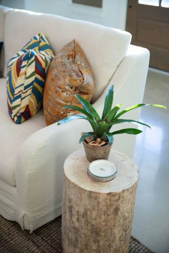 NEW urban cottage, The Vine & Round Top!